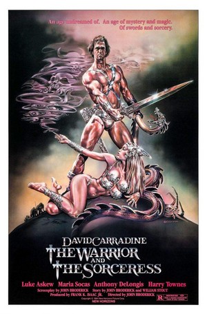 The Warrior and the Sorceress (1984) - poster