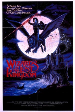 Wizards of the Lost Kingdom (1985) - poster