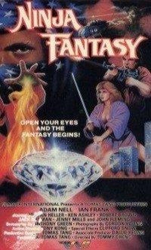 Ninja Fantasy (1986) - poster