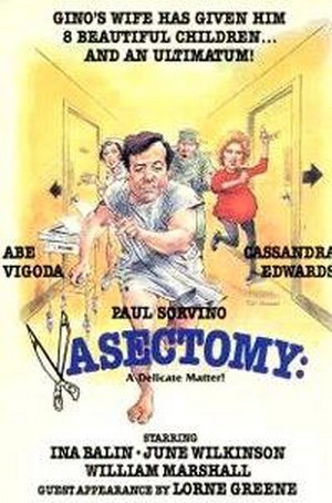 Vasectomy: A Delicate Matter (1986) - poster
