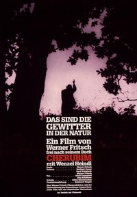 Das Sind die Gewitter in der Natur (1988) - poster