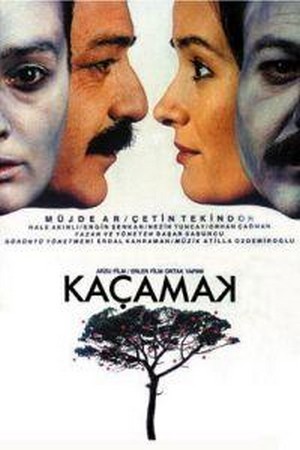 Kaçamak (1988) - poster