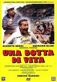 Una Botta di Vita (1988) - poster