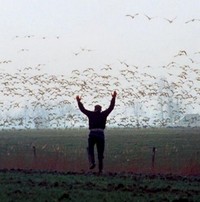 Ganzenproblemen? (1989) - poster