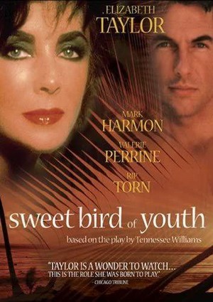 Sweet Bird of Youth (1989) - poster