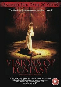 Visions of Ecstasy (1989) - poster