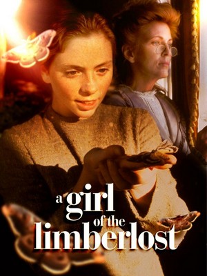 A Girl of the Limberlost (1990) - poster