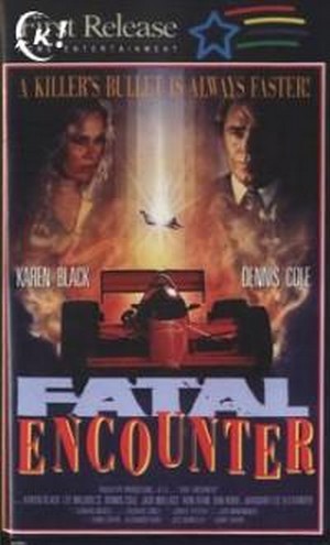 Fatal Encounter (1990) - poster