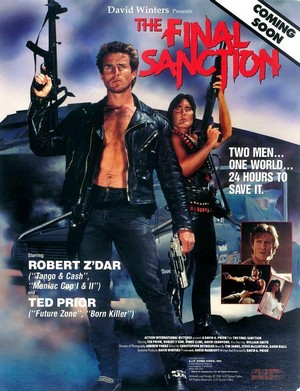 The Final Sanction (1990) - poster