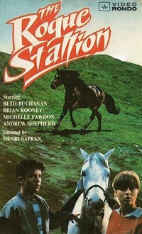 The Rogue Stallion (1990) - poster