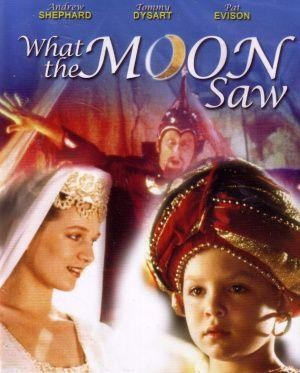 What the Moon Saw (1990) - poster