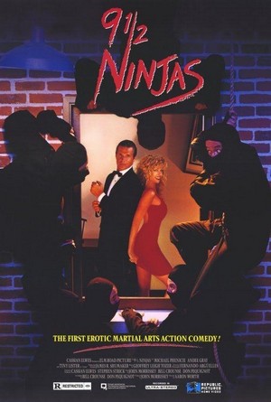 9 ½ Ninjas! (1991) - poster