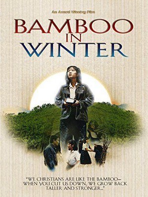 Bamboo in Winter (1991) - poster