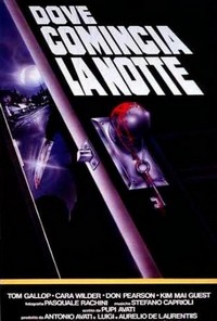 Dove Comincia la Notte (1991) - poster