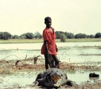 L'Enfant et le Caïman (1991) - poster