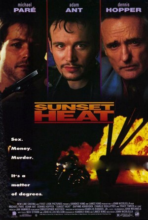 Sunset Heat (1991) - poster