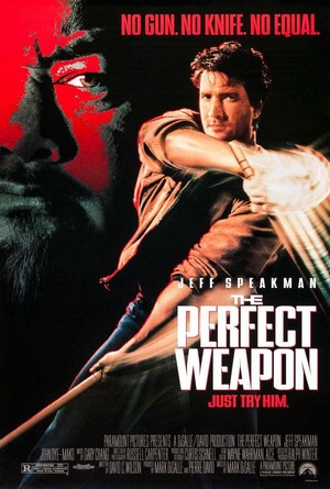 The Perfect Weapon (1991) - poster