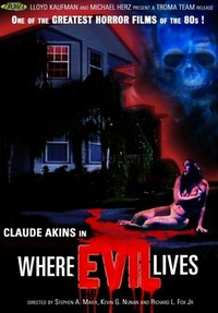 Where Evil Lives (1991) - poster