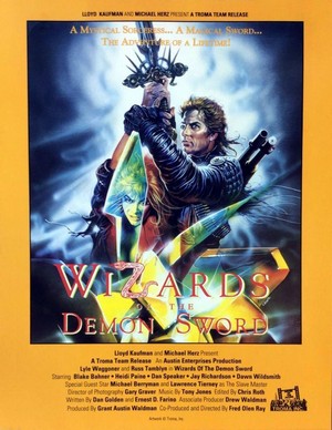 Wizards of the Demon Sword (1991) - poster