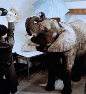Ein Elefant Im Krankenhaus (1993) - poster