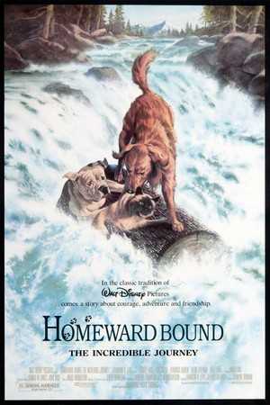 Homeward Bound: The Incredible Journey (1993) - poster