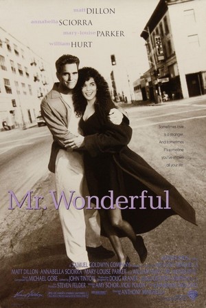 Mr. Wonderful (1993) - poster