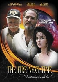 The Fire Next Time (1993) - poster