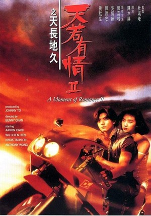 Tin Joek Jau Cing II - Zi Tin Coeng Dei Gau (1993) - poster