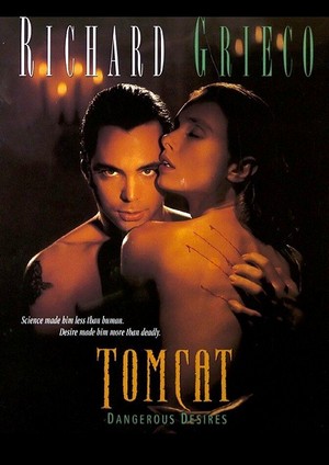 Tomcat: Dangerous Desires (1993) - poster