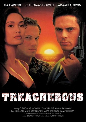 Treacherous (1993) - poster
