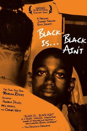 Black Is... Black Ain't (1994) - poster