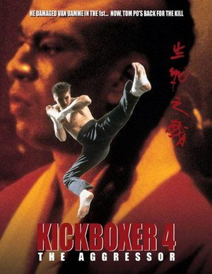 Kickboxer 4: The Aggressor (1994) - poster