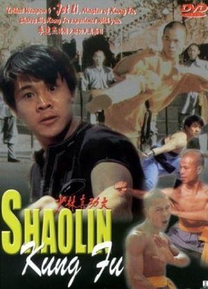 Shao Lin Zhen Gong Fu (1994) - poster