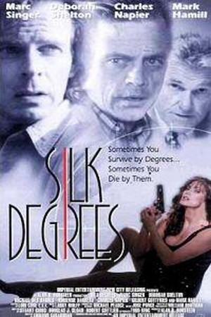 Silk Degrees (1994) - poster
