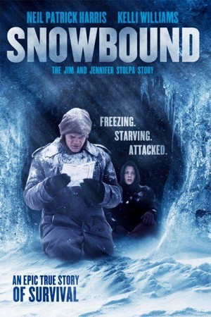 Snowbound: The Jim and Jennifer Stolpa Story (1994) - poster