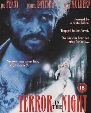 Terror in the Night (1994) - poster
