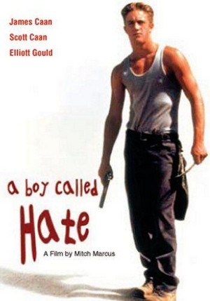 A Boy Called Hate (1995) - poster