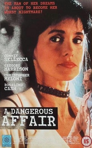 A Dangerous Affair (1995) - poster
