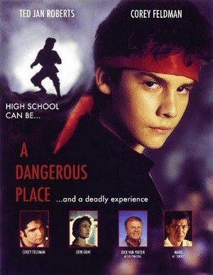 A Dangerous Place (1995) - poster
