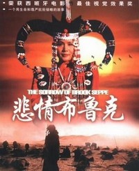 Beiqing Buluke (1995) - poster