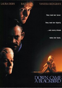 Down Came a Blackbird (1995) - poster