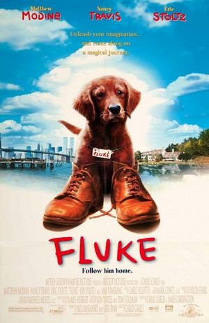 Fluke (1995) - poster