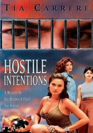 Hostile Intentions (1995) - poster