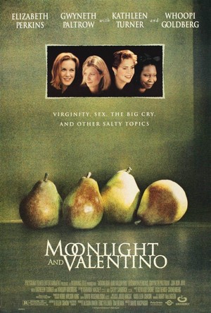 Moonlight and Valentino (1995) - poster