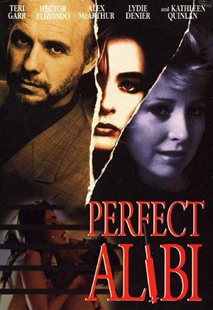 Perfect Alibi (1995) - poster