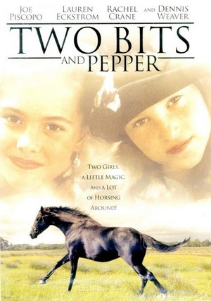 Two-Bits & Pepper (1995) - poster