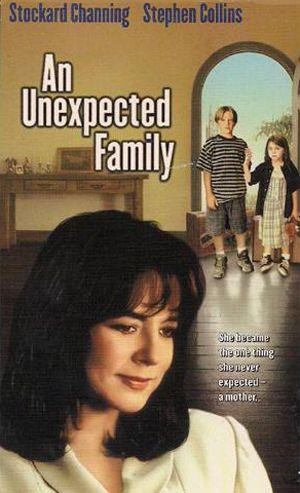 An Unexpected Family (1996) - poster