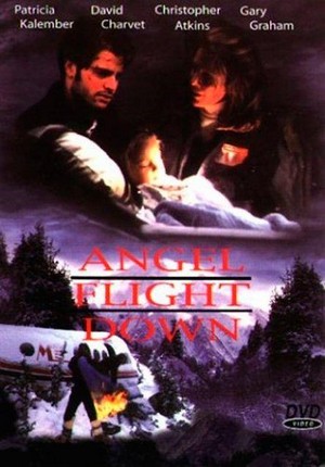 Angel Flight Down (1996) - poster
