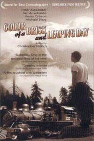 Color of a Brisk and Leaping Day (1996) - poster