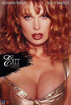 Exit (1996) - poster